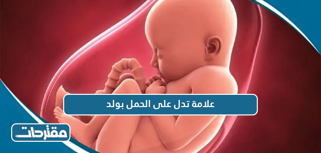 20 علامة تدل على الحمل بولد موقع مقترحات